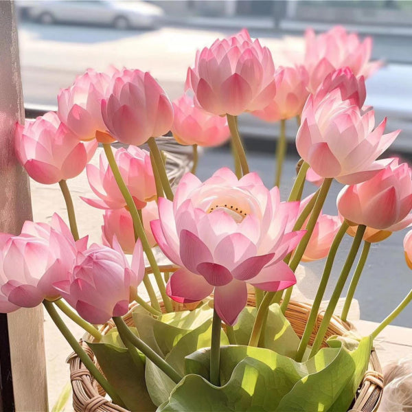 🌸 The Sacred Bonsai Bowl Lotus Flower | Elegant Indoor Water Plant Decor