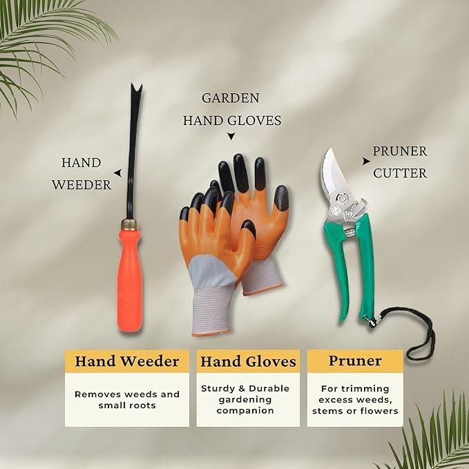🌿 6-in-1 Garden Tool Kit with Storage Box | Essential Gardening Tools for Home & Outdoor